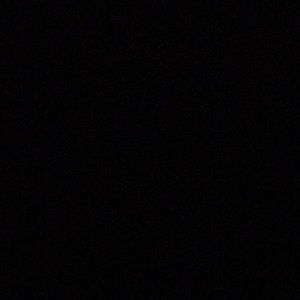 Meet your Posher, Toni lee